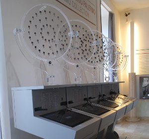 monetiere